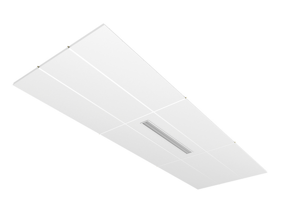 Illustration Carboline  Bottom view