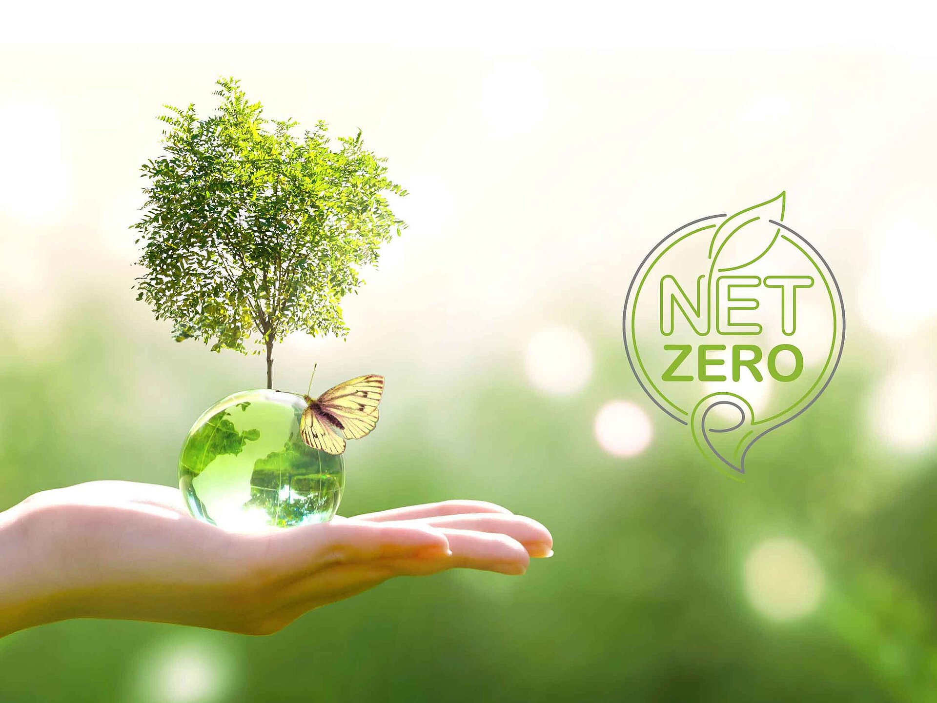 Indc Netzero Building Regulations | Zehnder Group UK Ltd