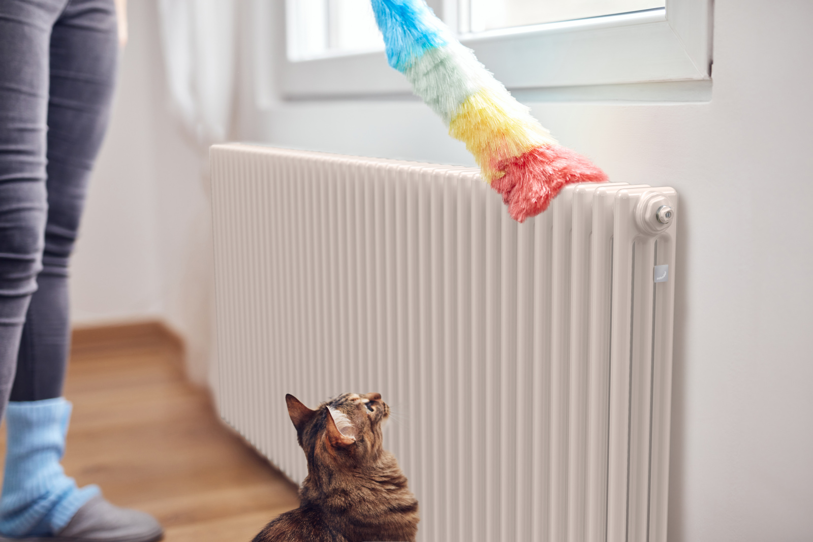 Key Visual Zehnder Charleston Decorative radiator 
